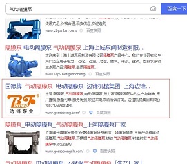 泵业网站排名优化效果